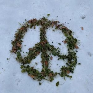 Meet your Posher, Helena